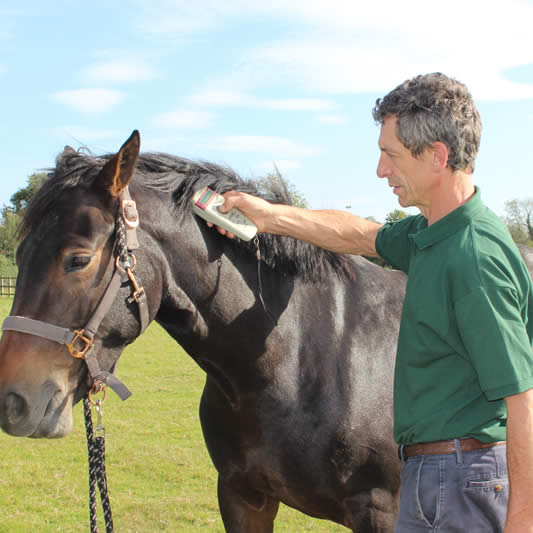 Carlos Urresti, horse vet at Reigate Vets, Surrey