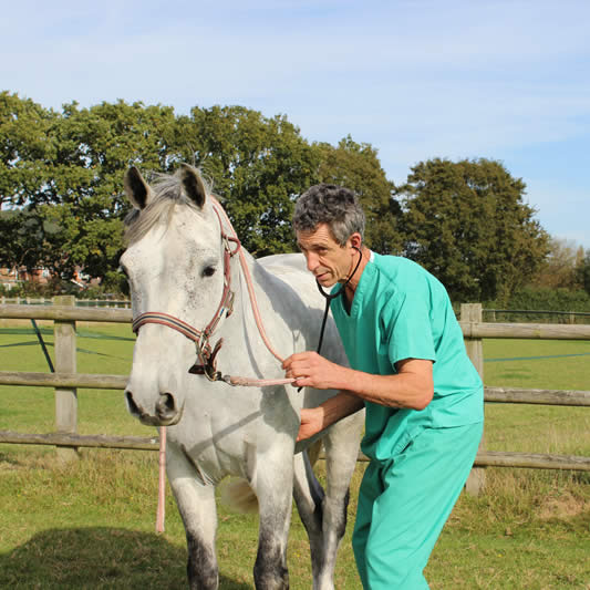 Carlos Urresti of Reigate Vets, Surrey