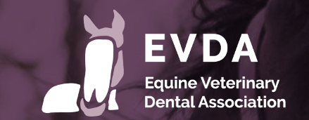 Equine Veterinary Dental Association
